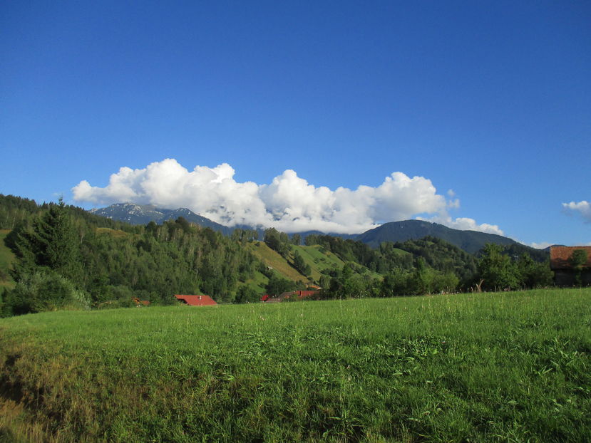  - Moeciu