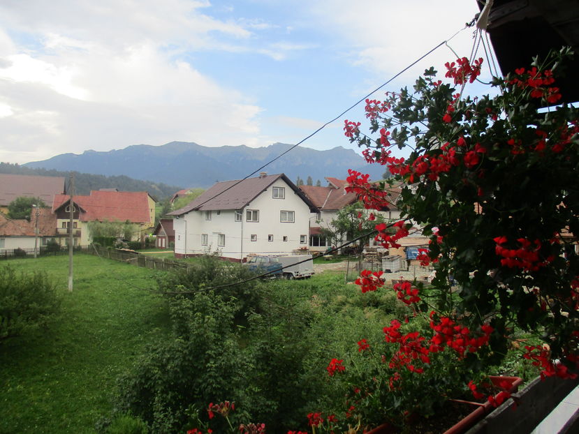  - Moeciu