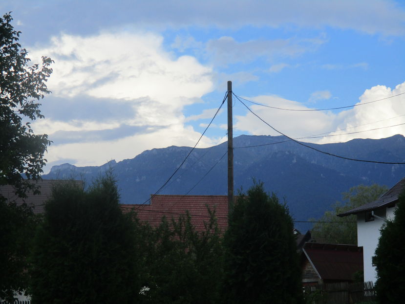  - Moeciu
