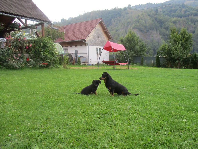  - Moeciu