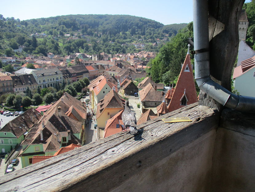  - Sighisoara