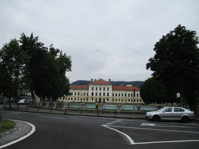 Colegiul Andrei Saguna - Brasov