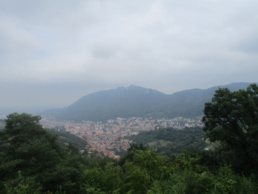  - Brasov