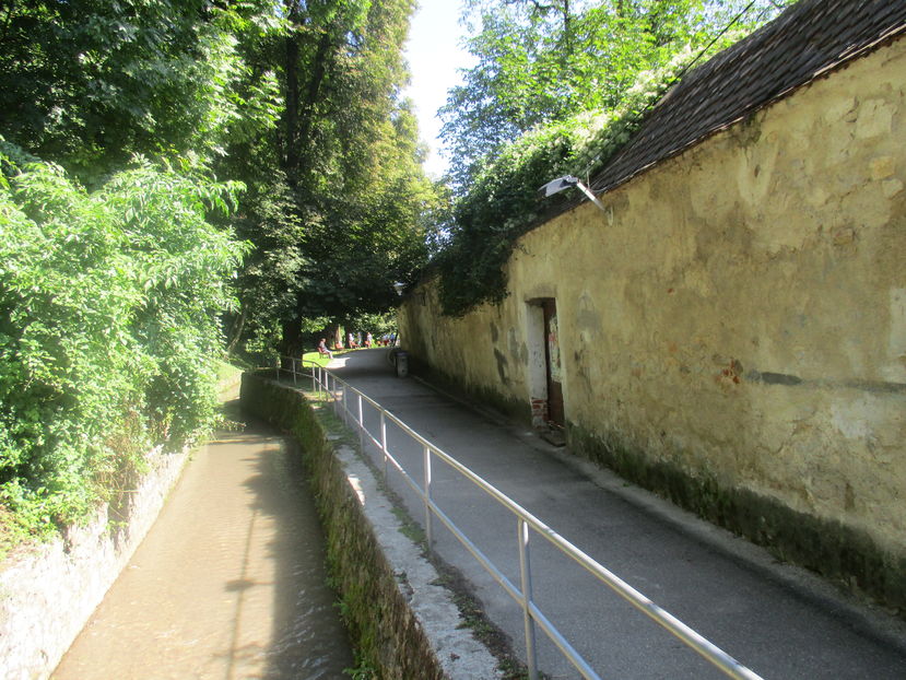  - Brasov