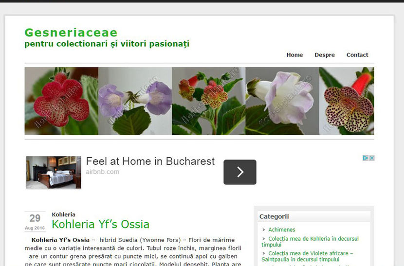 Actualizari pe blog; Actualizari pe blog

http://gesneriaceae.flori-si-plante.ro/?p=3356
