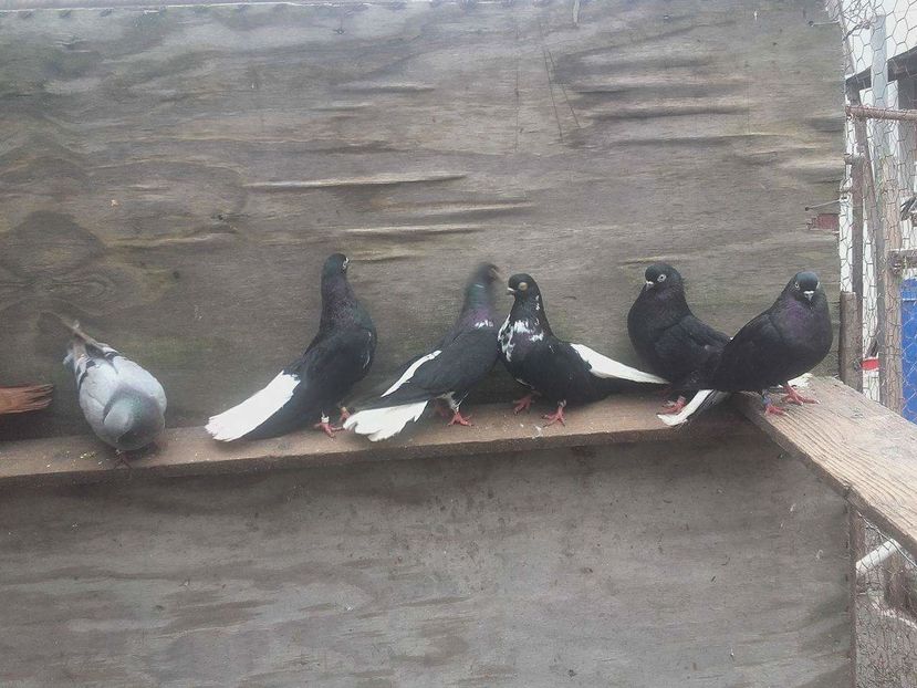 received_881006915358583