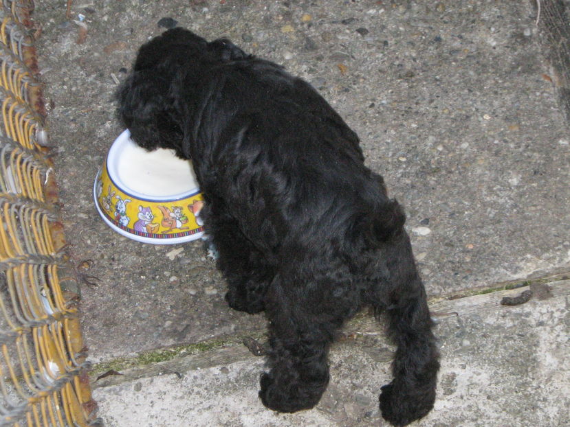  - MUKY_ ceva special