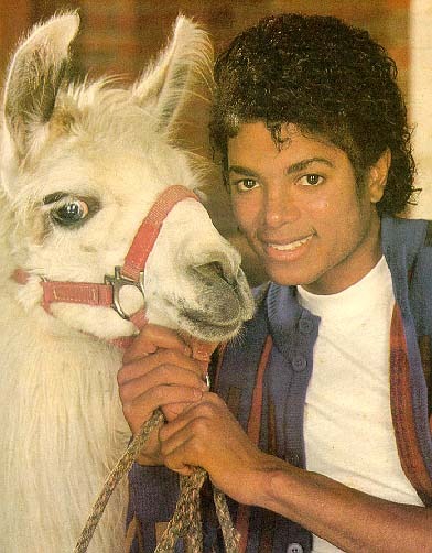 michael_camel - poze mj