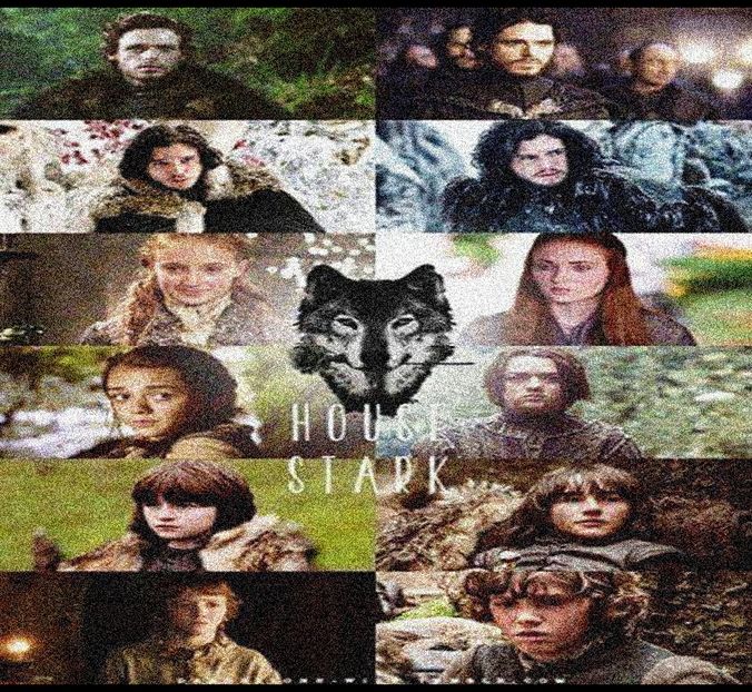 ∟iadorecyrus got  ̷T̷h̷e̷ ̷S̷t̷r̷a̷k̷s̷ from GOT