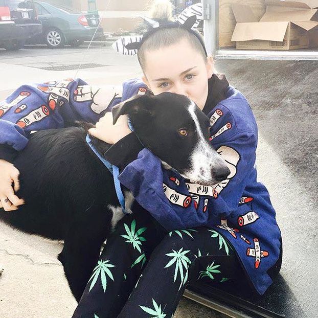 11219036_10153832942822147_2947228722932102329_n