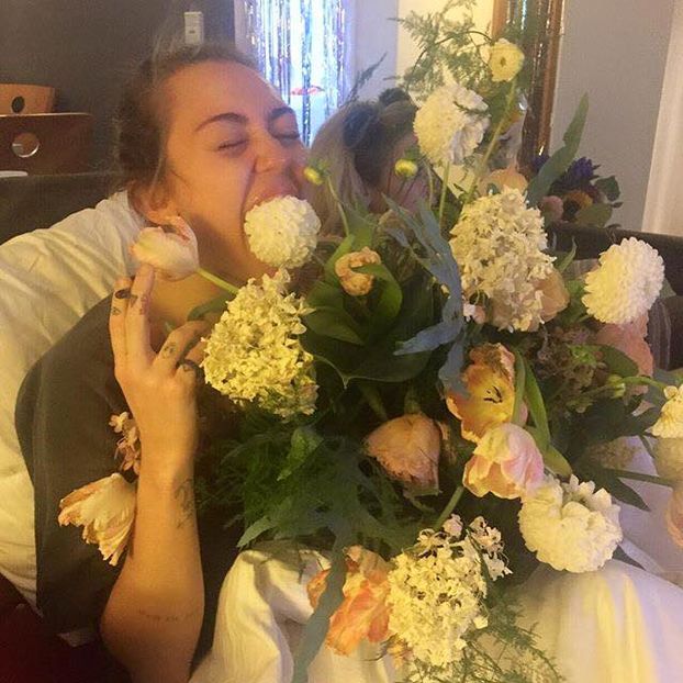 12088570_10153757230127147_5726455451367192440_n