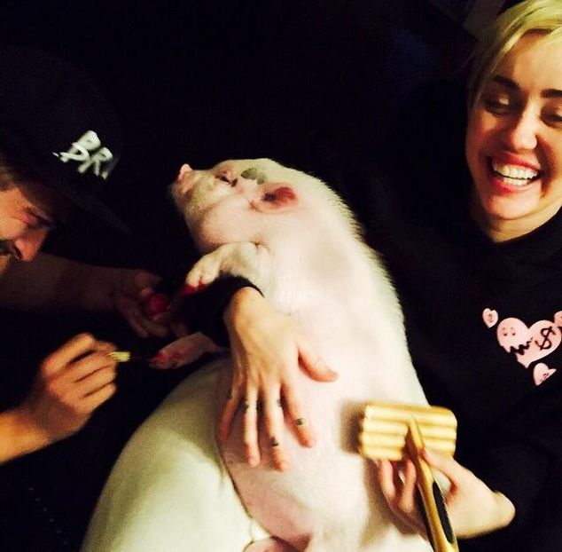 10790_10152899396297147_2629962022113993605_n