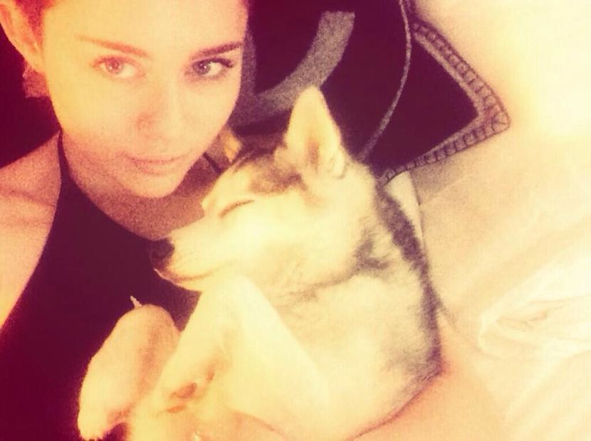 1975265_10152364203777147_81289320_n