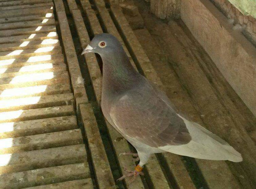 received_847637305362047