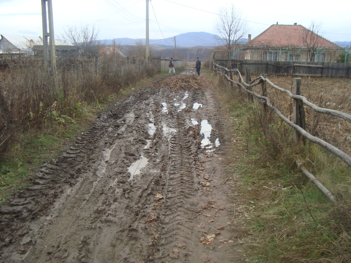 DSC02549 - comuna livezi-imagini din mandatul de 8 ani al lui costea