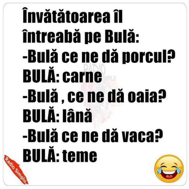 14095796_1114017005302456_7461708600542804307_n - Diverse