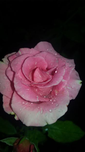 tmp_1512-20160903_204914728761063