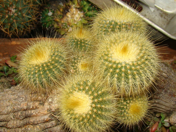 DSC00476