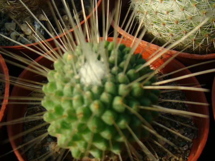 DSC00589