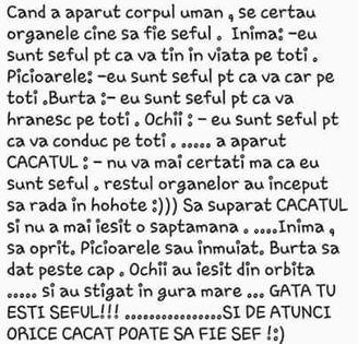 14039958_899725446798484_2365635000307133180_n - Diverse