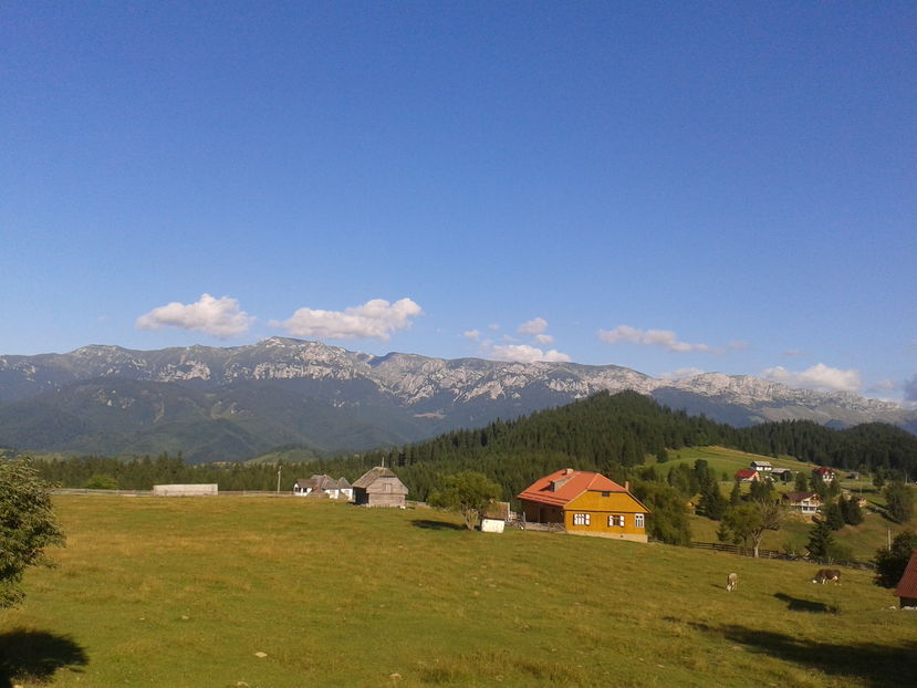 2016-08-15 17.55.16 - Moeciu