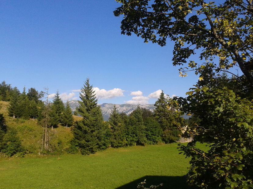 2016-08-15 18.08.43 - Moeciu