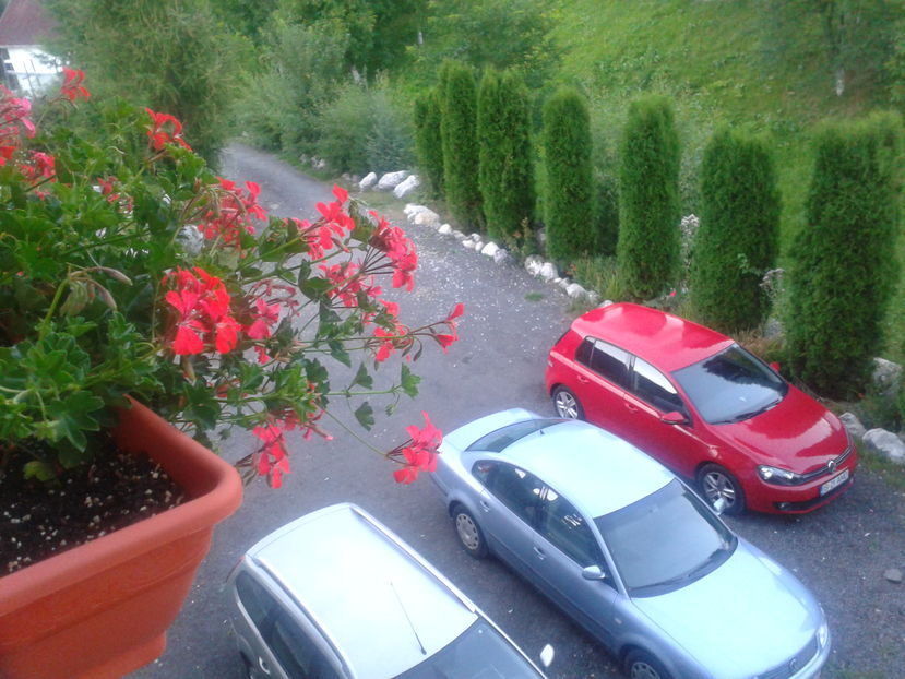 2016-08-15 20.25.59 - Moeciu