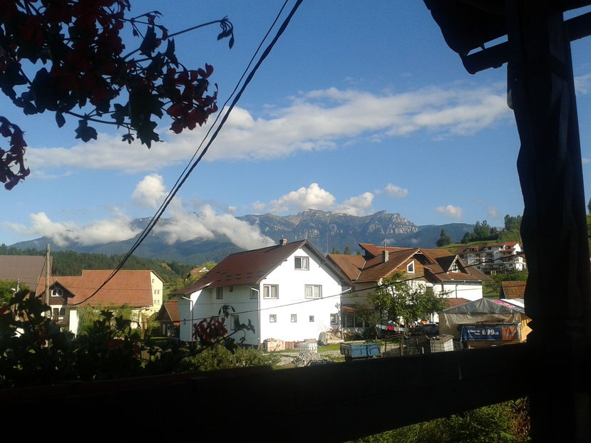2016-08-16 17.46.12 - Moeciu