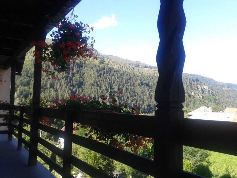 2016-08-16 17.46.25 - Moeciu