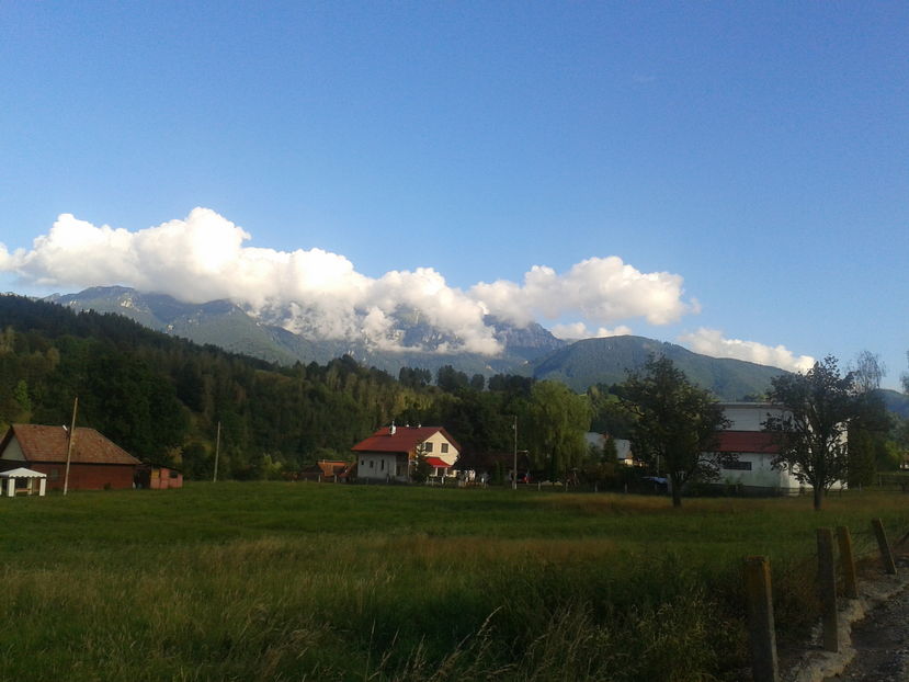 2016-08-16 18.24.17 - Moeciu