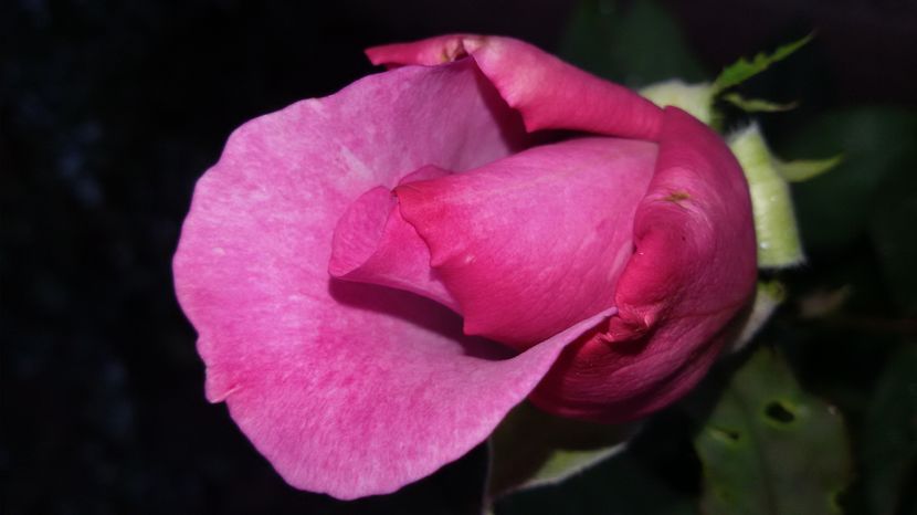 tmp_19408-20160904_181447367188155