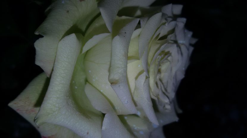 tmp_19408-20160904_1810181176736632