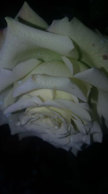 tmp_19408-20160904_180949-1032590316