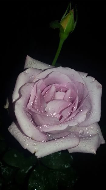 tmp_19408-20160903_204428901188938