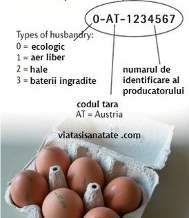 cum sa alegi cele mai sanatoase oua din comert; vezi comentariul cum sa alegi cele mai sanatoase oua din comert
