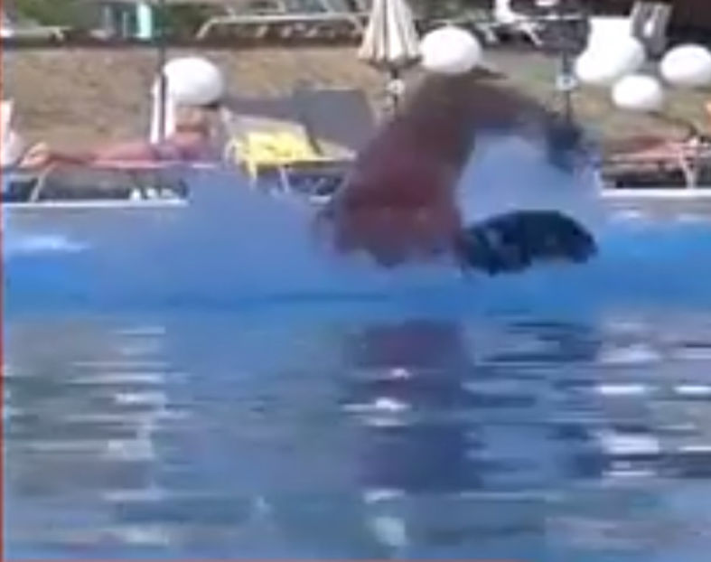 bandicam 2016-09-07 13-02-54-543