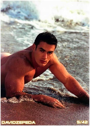 David Zepeda