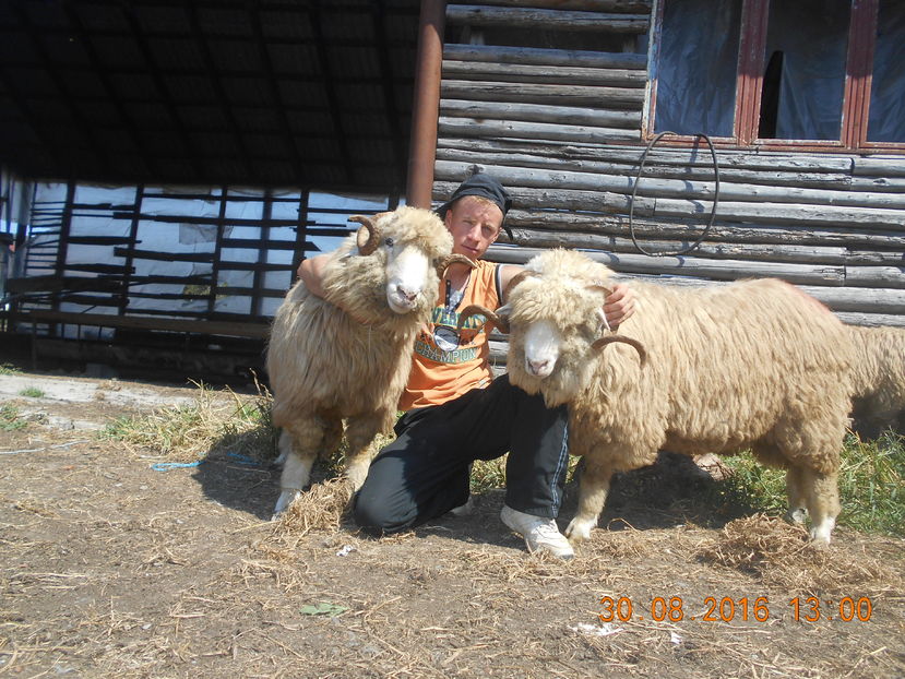 Picture 192 - Berbeci 2016-2017