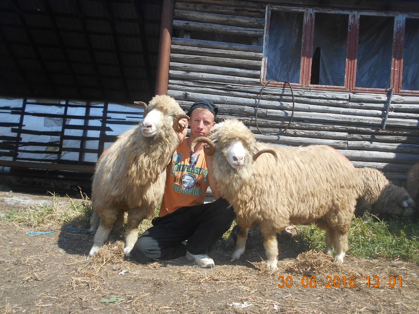 Picture 195 - Berbeci 2016-2017