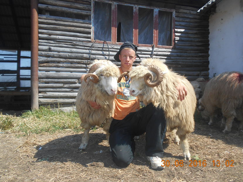 Picture 198 - Berbeci 2016-2017