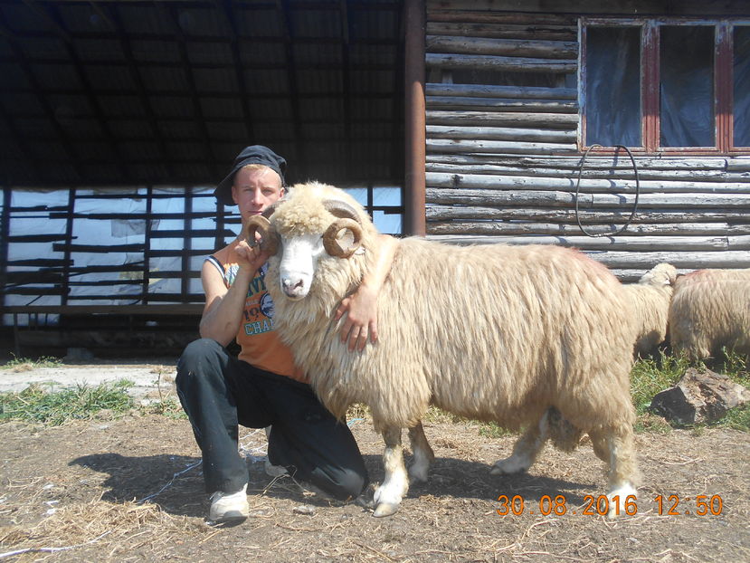 Picture 162 - Berbeci 2016-2017