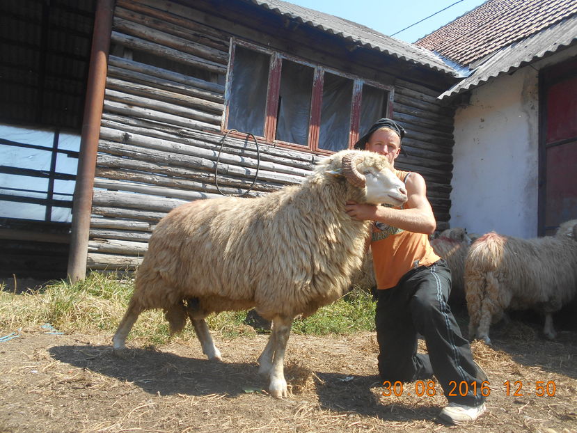 Picture 163 - Berbeci 2016-2017