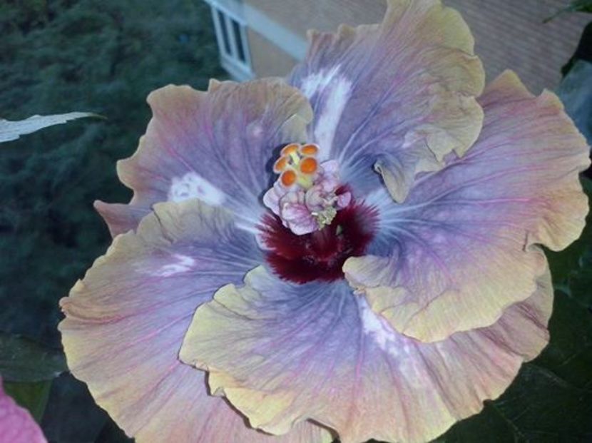 14202703_1511298748895687_2219345927594015587_n