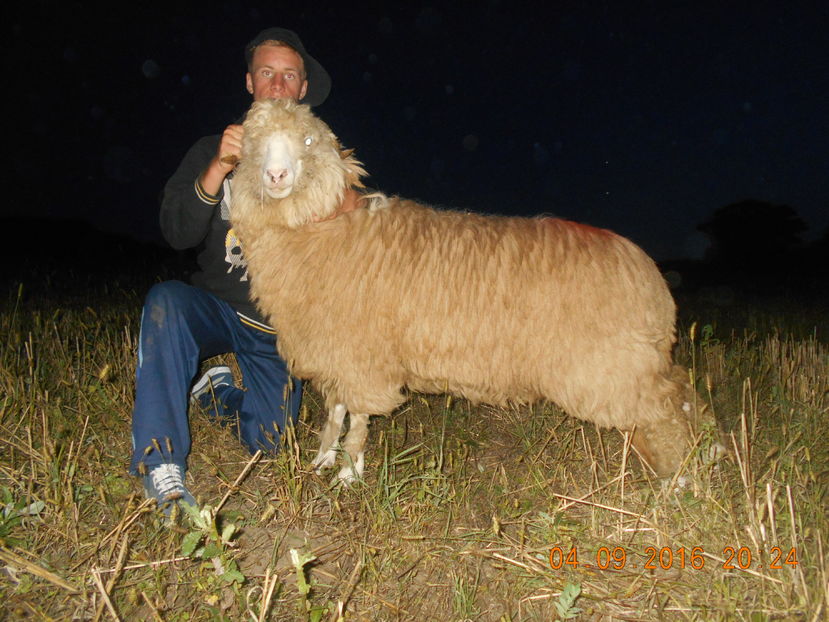 Picture 303 - turcana-Alba 2016