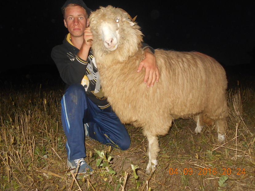 Picture 304 - turcana-Alba 2016