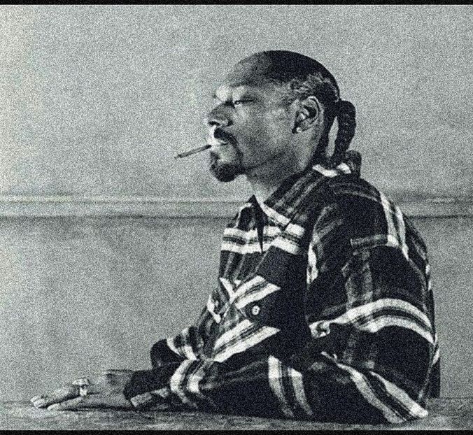 ∟ephemeral got  ̷S̷n̷o̷o̷p̷ ̷D̷o̷g̷g̷