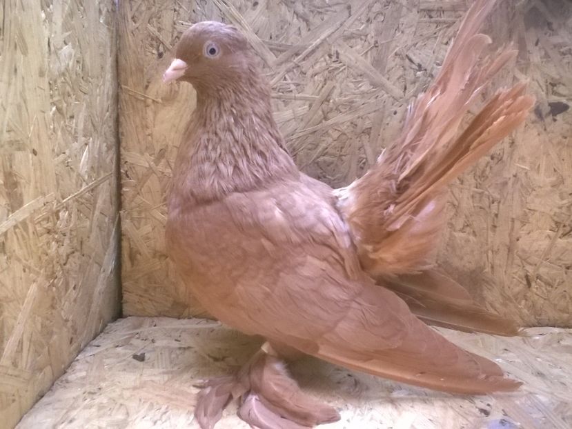 Sight_2016_09_10_123813_520