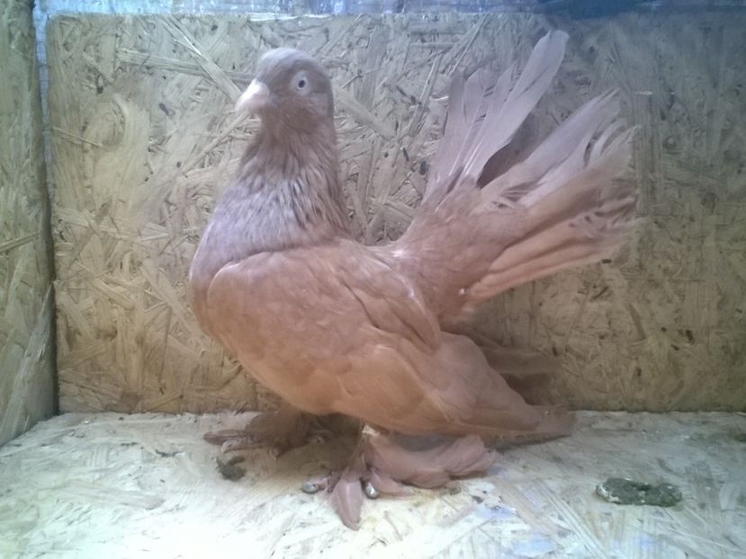 Sight_2016_09_10_125051_552