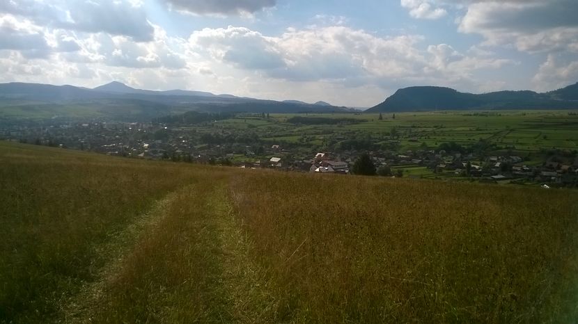 Drumul spre frunze la Alpine - SEPTEMBRIE 2016 Alpinele si Padurea
