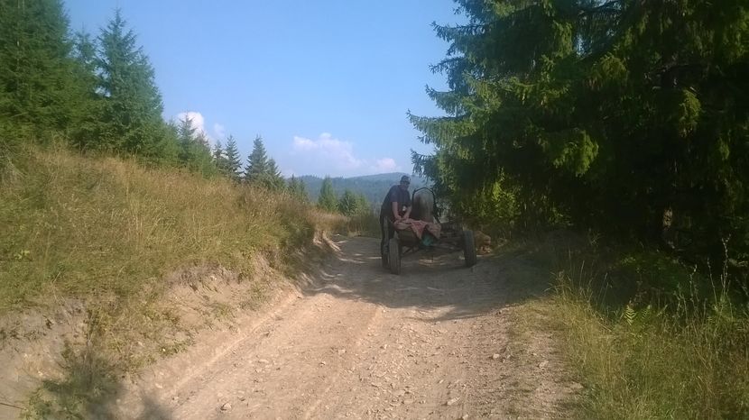 Greu la deal-5pp - SEPTEMBRIE 2016 Alpinele si Padurea